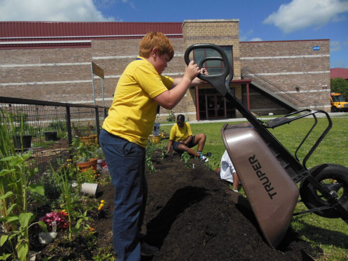 Students planting and tending to a raised school garden bed with herbs and vegetables