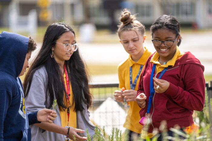 Middle-school students harvesting herbs from a school garden