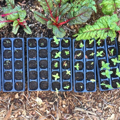 This is an image to be used for testing purposes only.