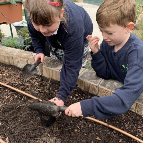 Children learning together in a raised garden bed in their school garden.