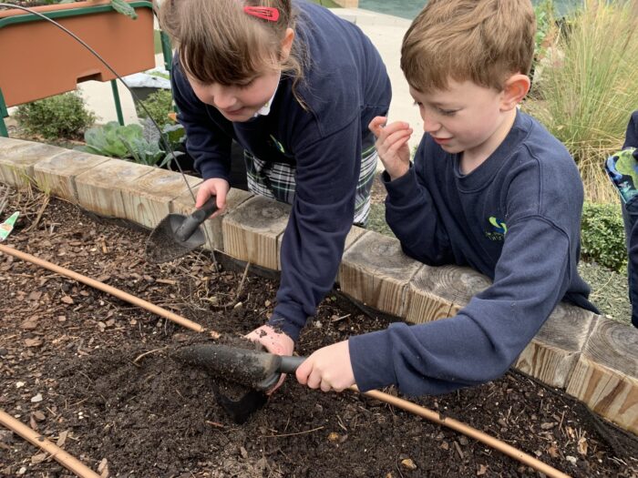 Children learning together in a raised garden bed in their school garden.
