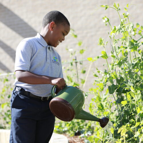 Student watering crops in an Emeril Lagasse Foundation culinary garden and learning life skills.