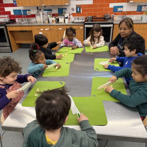 School children engaged in seed-to-table learning.