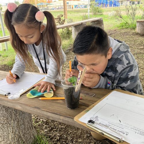 Children learning through STEM and food education integration