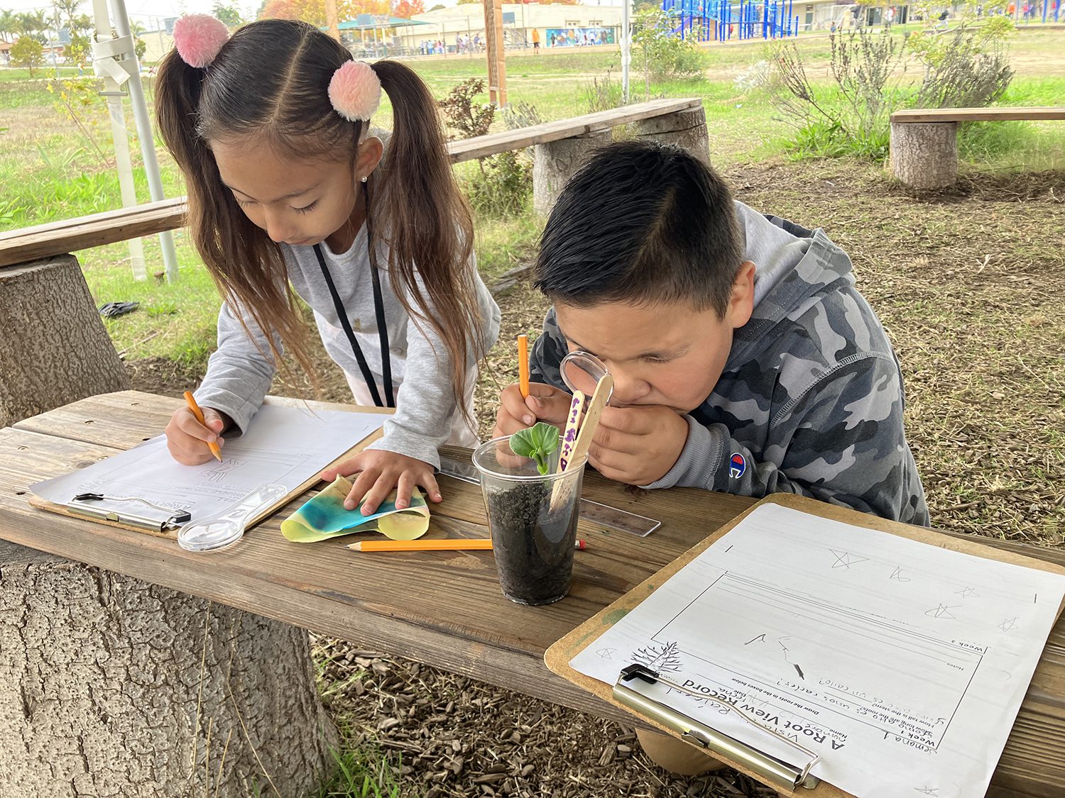Children learning through STEM and food education integration